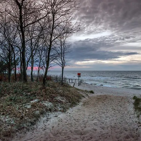 Daniela - Chłapowo Władysławowo